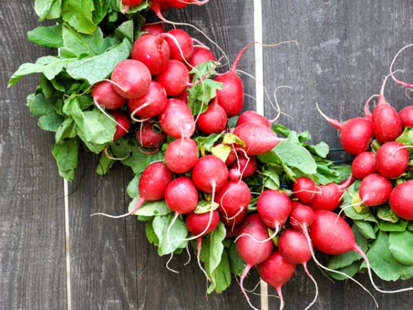 Fresh Radish