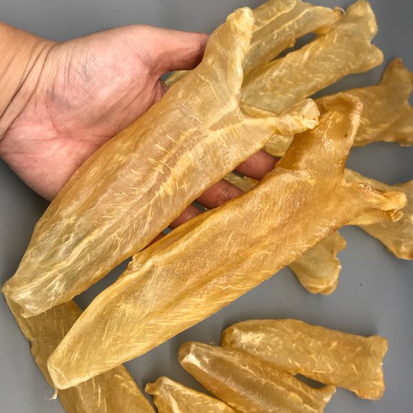 Fish Maw