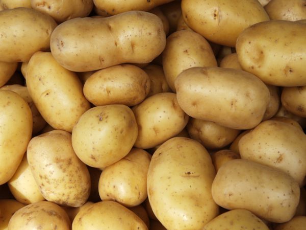 Fresh Potatoes